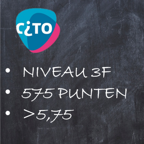score-en-niveau-wiscat-pabo-leerjaar-1